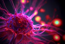 Cientistas revelam nova ligação entre câncer e envelhecimento