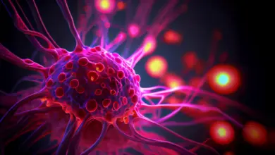 Cientistas revelam nova ligação entre câncer e envelhecimento