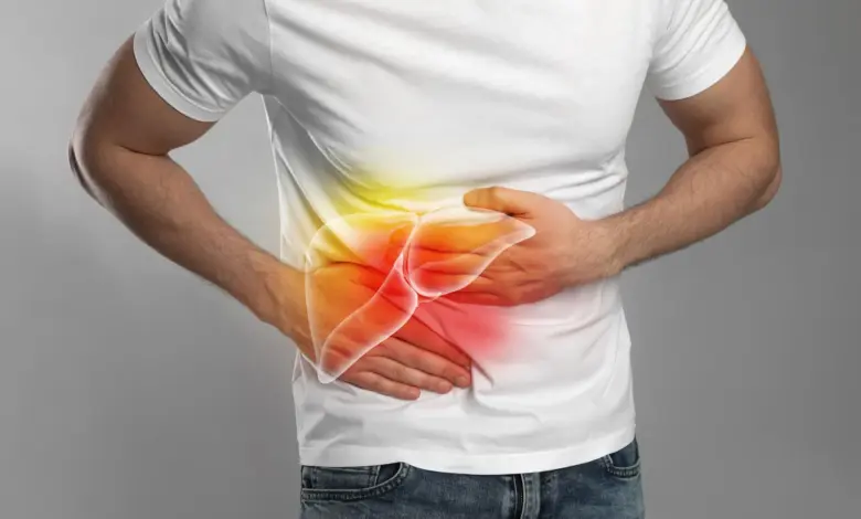 Estudo revela como álcool impede cura do fígado