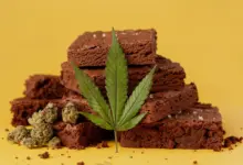 Estudo aponta uso de cannabis e risco 4x maior de diabetes
