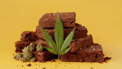 Estudo aponta uso de cannabis e risco 4x maior de diabetes