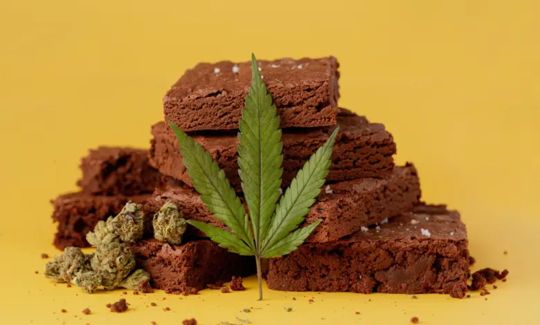 Estudo aponta uso de cannabis e risco 4x maior de diabetes
