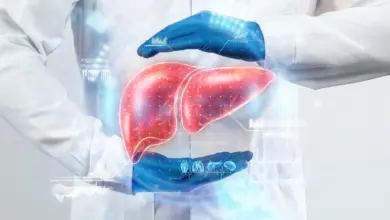 Pesquisa avalia vitamina B como opção ao fígado gorduroso