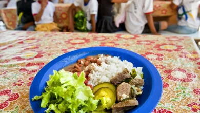 Câmara aprova projeto de alimentação escolar para educação infantil