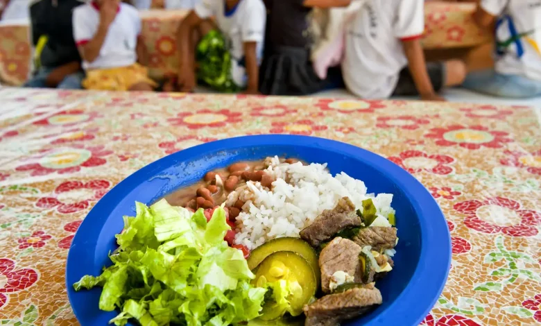 Câmara aprova projeto de alimentação escolar para educação infantil
