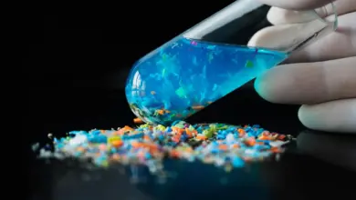 Cientistas identificam microplásticos em ossos humanos, revela estudo