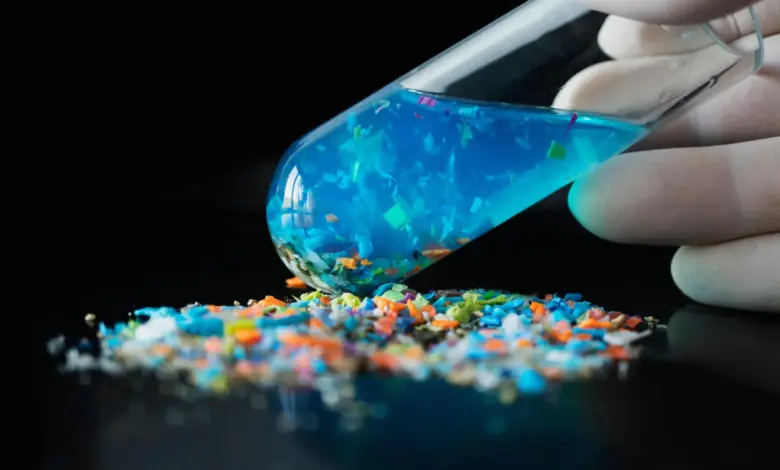 Cientistas identificam microplásticos em ossos humanos, revela estudo