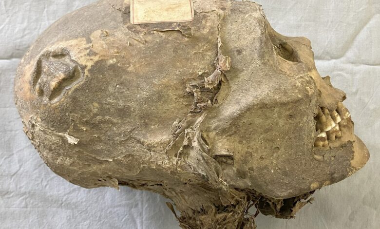 Pesquisa revela que cabeça mumificada de 350 anos intriga ciência