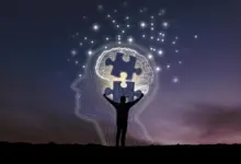 Estudo identifica gordura cerebral como motor oculto do Alzheimer