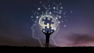 Estudo identifica gordura cerebral como motor oculto do Alzheimer