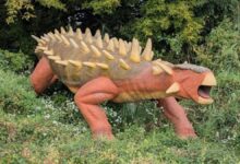 Parque temático coloca dinossauros em venda no Facebook