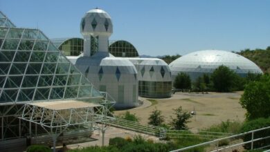 Biosphere 2 inicia missão sobre surgimento da vida na Terra