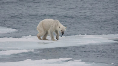NASA comprova acertos de modelos climáticos com evidências