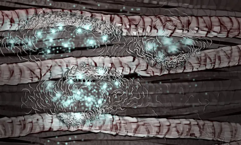 Harvard desenvolve tecnologia que transforma cabelo em material ecológico