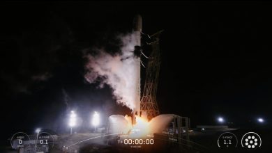 SpaceX lança 24 satélites Starlink em nova missão orbital