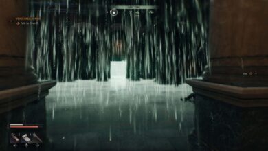E-sports enfrentam desafios com o novo bug do Rain