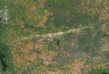 Satélites capturam cicatriz de 120 milhas em Alberta