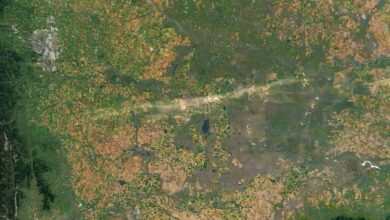 Satélites capturam cicatriz de 120 milhas em Alberta