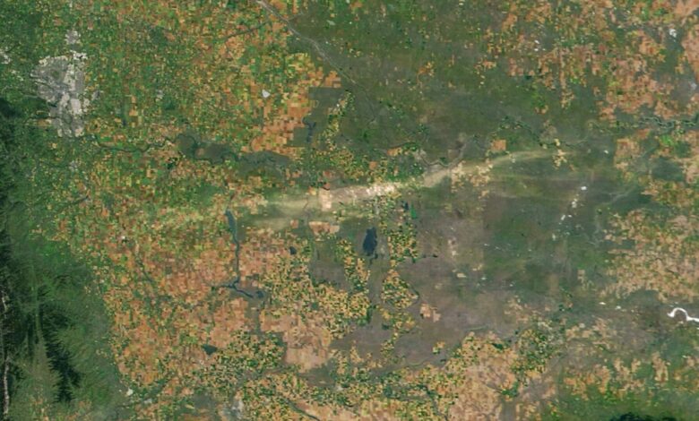 Satélites capturam cicatriz de 120 milhas em Alberta