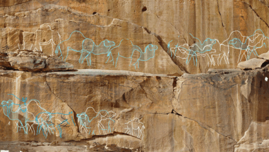 Estudo revela camelos em arte rupestre de 12 mil anos