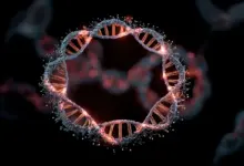 Pesquisa revela DNA circular como motor do câncer cerebral