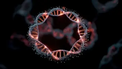 Pesquisa revela DNA circular como motor do câncer cerebral