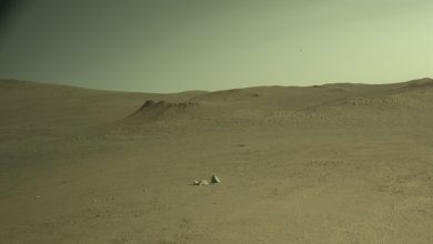 NASA faz rover Perseverance explorar Soroya Ridge em Marte