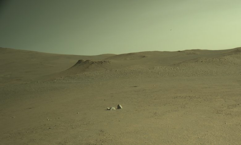 NASA faz rover Perseverance explorar Soroya Ridge em Marte
