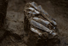 Pesquisa revela toolkit de 30.000 anos na República Tcheca
