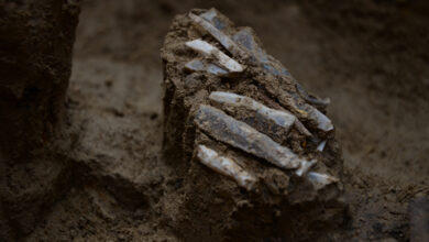 Pesquisa revela toolkit de 30.000 anos na República Tcheca