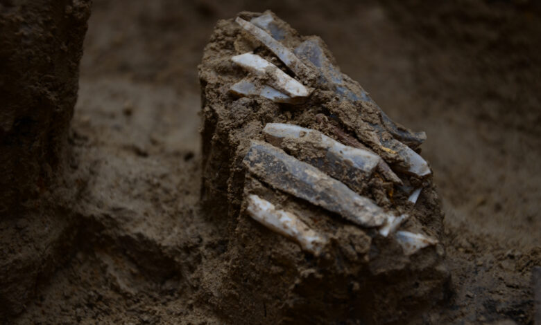 Pesquisa revela toolkit de 30.000 anos na República Tcheca