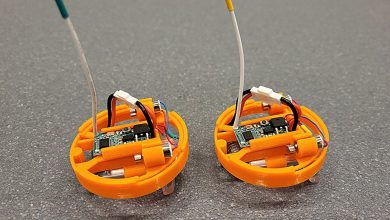 Swarm intelligence melhora soluções com machine learning