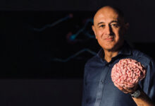 Jim Al-Khalili investiga 600 milhões de anos de evolução cerebral