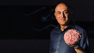 Jim Al-Khalili investiga 600 milhões de anos de evolução cerebral