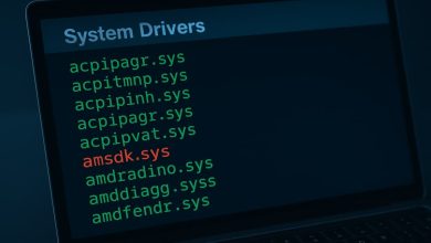 Silver Fox APT explora vulnerabilidade em driver assinado