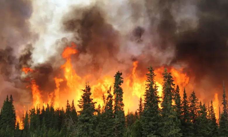 Pesquisa aponta fumaça de incêndios matando 70 mil até 2050