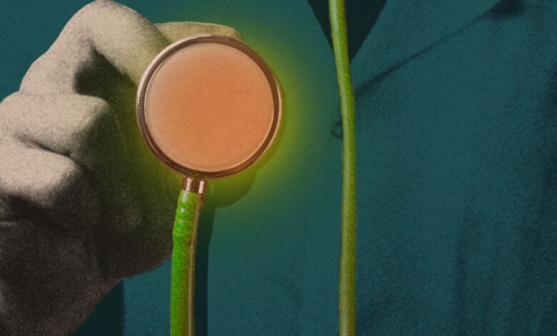 Startup médica utiliza inteligência artificial para diagnósticos