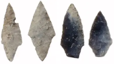 Descoberta arqueológica revela mulheres e crianças com ferramentas