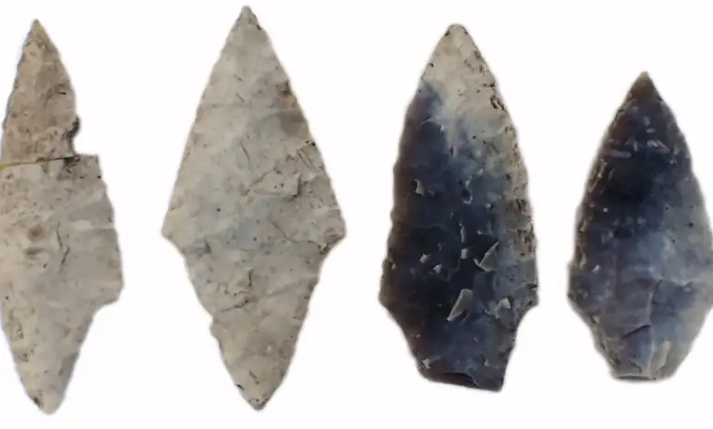 Descoberta arqueológica revela mulheres e crianças com ferramentas