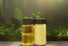 Terra Oleo utiliza micróbios para substituir palma sustentável
