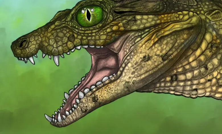 Pesquisa identifica nova espécie de crocodilo em fóssil infantil