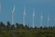 Inscrições para Olimpíada de Eficiência Energética abertas