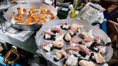 Astronautas da ISS servem sushi em órbita com foto do dia