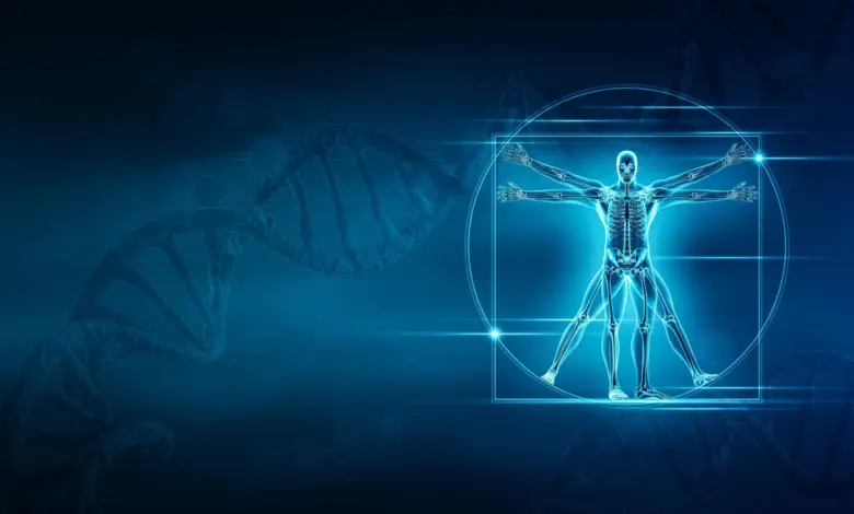 Cientistas avançam em pesquisa sobre DNA de Leonardo da Vinci