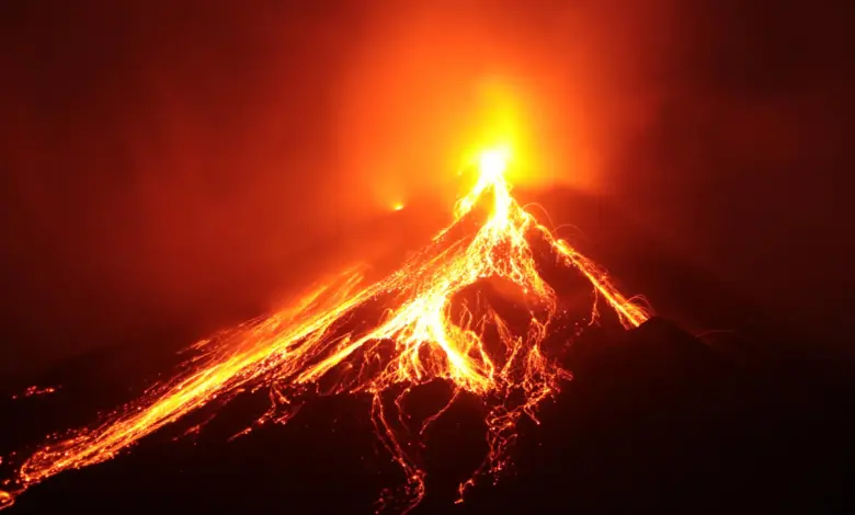 Genética revela como plantas retomam vida após erupção