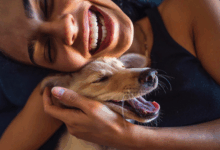 Pesquisa revela por que cães se animam ao ver donos