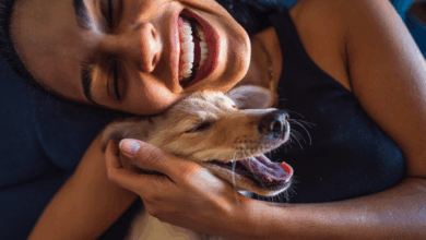 Pesquisa revela por que cães se animam ao ver donos
