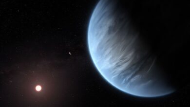 NASA revela que busca por exoplanetas aquáticos pode secar