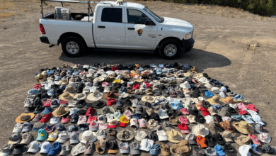 Funcionários de Yellowstone conduzem estudo e recolhem 300 chapéus