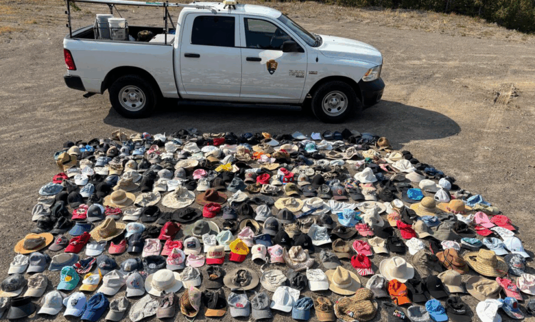 Funcionários de Yellowstone conduzem estudo e recolhem 300 chapéus